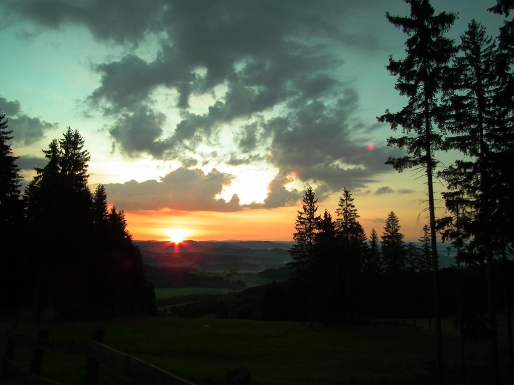 Apartman Lipanek Lipno nad Vltavou Dış mekan fotoğraf